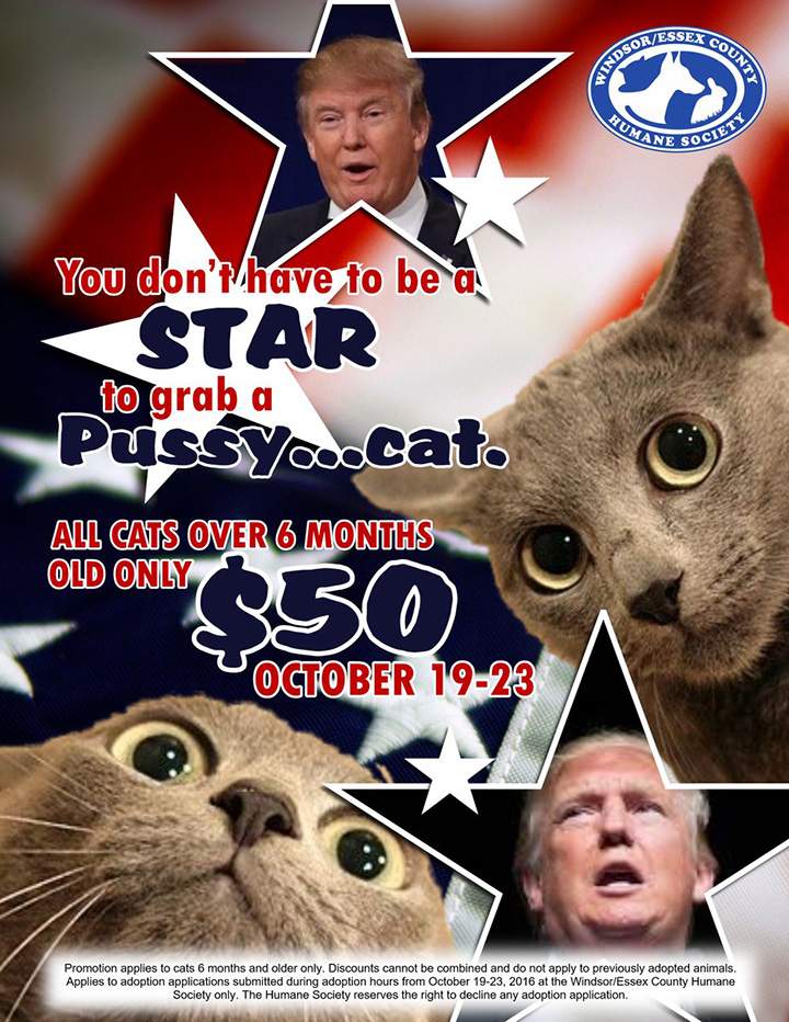 A poster shared online by the Windsor/Essex County Humane Society was removed after a backlash on social media.