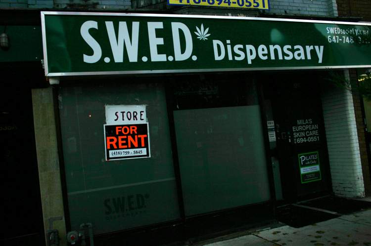 Why Toronto’s pot dispensaries are still open despite serious drug trafficking charges - image