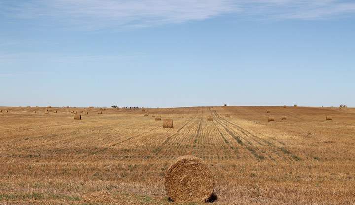 Nov. 2: This Your Saskatchewan photo was taken near Leader by Linda Coates.