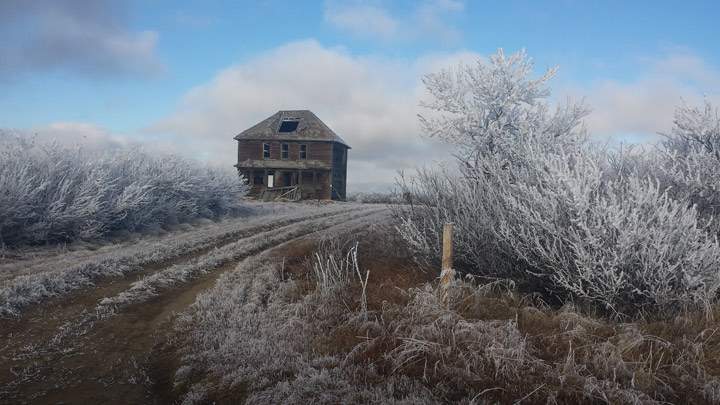 Nov. 25: This Your Saskatchewan photo was taken by Paul Harrison near Major.
