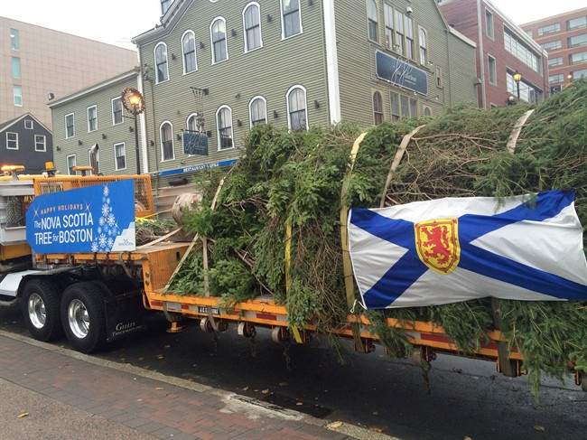 Nova Scotia premier headed to Boston for tree lighting - image