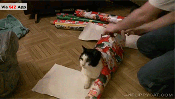 The Christmas gifts you shouldn’t give (and the ones you should) - image