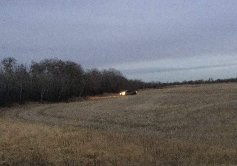Coronation RCMP are investigating after a truck was spotted trespassing on a canola field near Range Road 130, North of Highway 599. November 11, 2016.