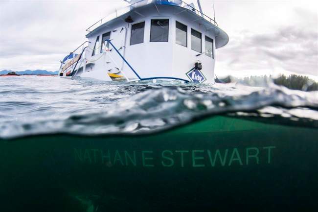 Federal government withholds information on impact of B.C. diesel spill - image
