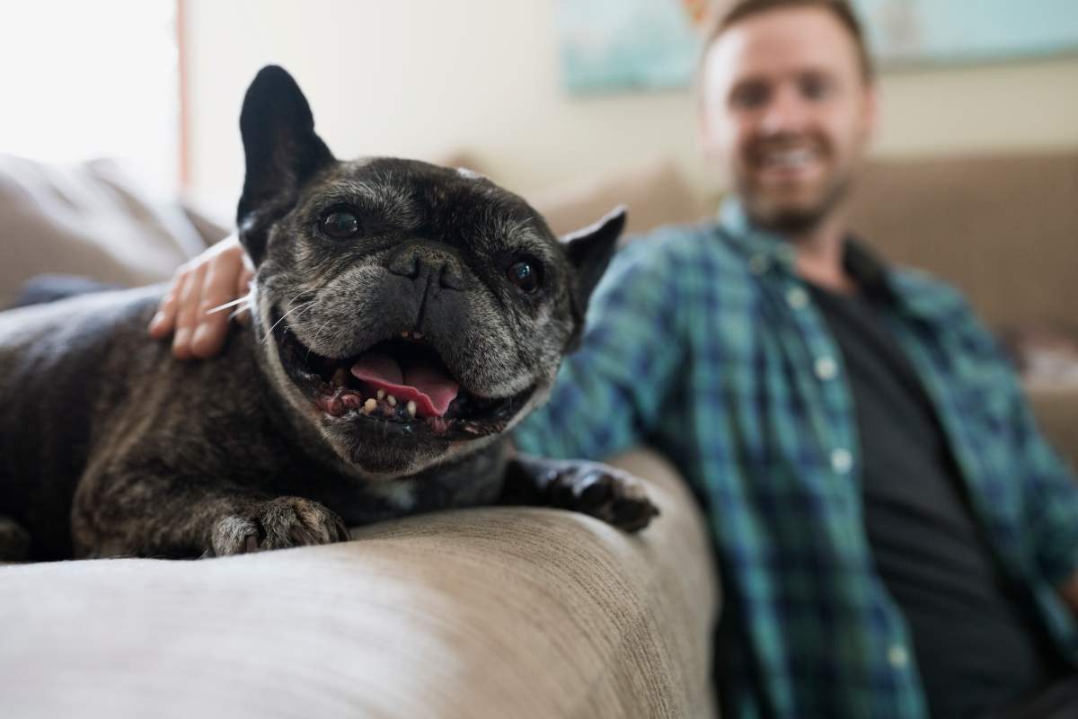 Dogs and humans share the same mental function of recalling memories, just not to the same extent, say scientists.