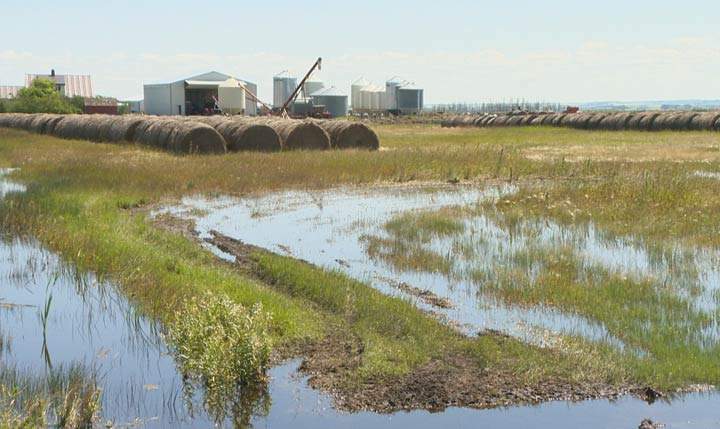 Amendments to The Water Security Agency Act have been introduced to change how agricultural drainage complaints are handled in Saskatchewan.