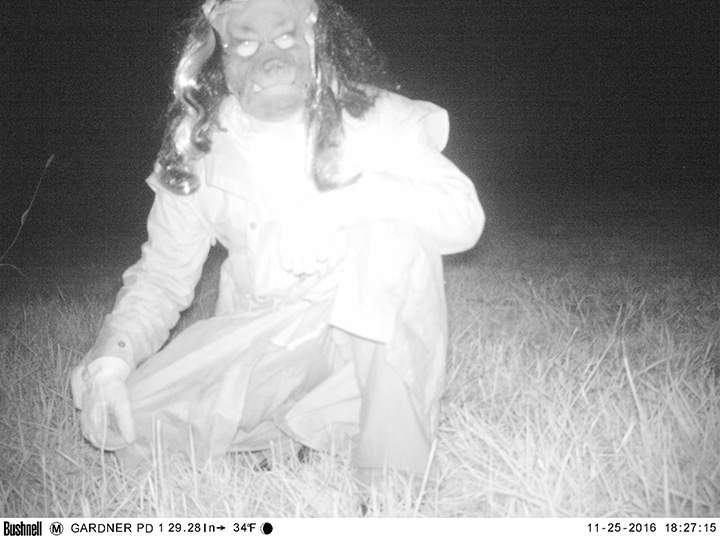 Police set up wildlife cameras to capture mountain lion, record humans acting strangely instead - image