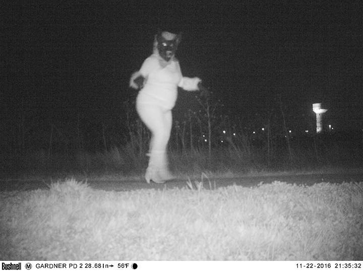 Police set up wildlife cameras to capture mountain lion, record humans acting strangely instead - image