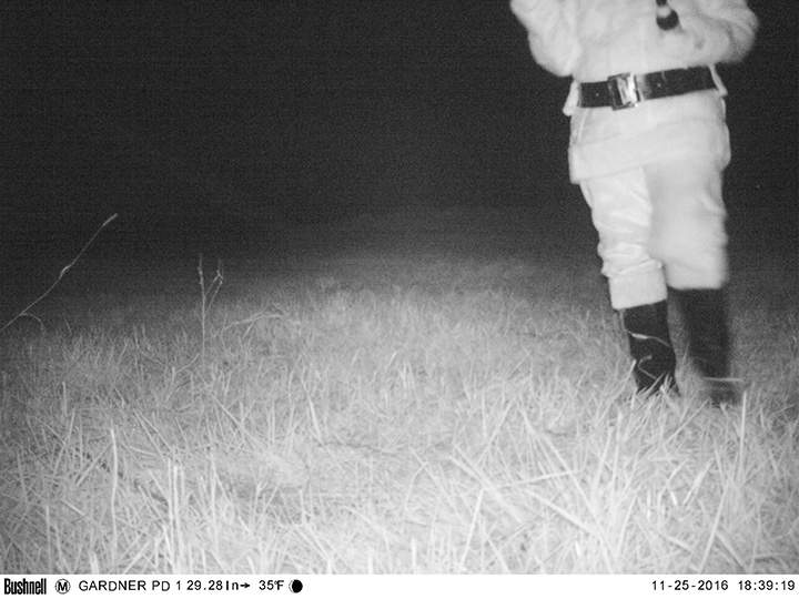 Police set up wildlife cameras to capture mountain lion, record humans acting strangely instead - image