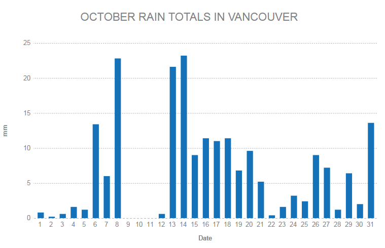 It has rained almost every day for two months in Vancouver - image