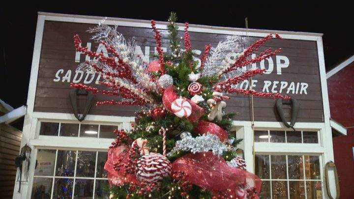 Festival of Trees