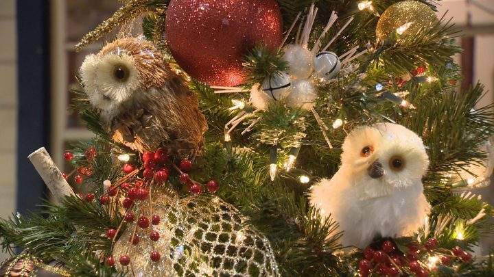 Festival of Trees