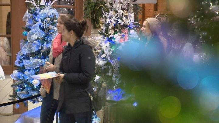 Festival of Trees