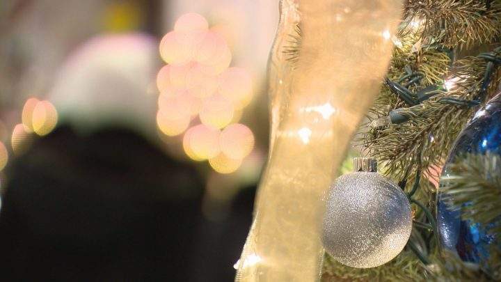 Festival of Trees