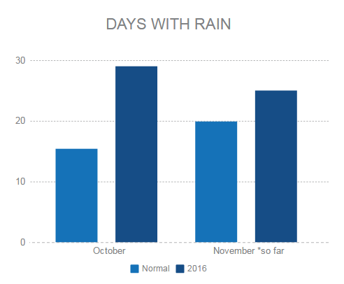 It has rained almost every day for two months in Vancouver - image