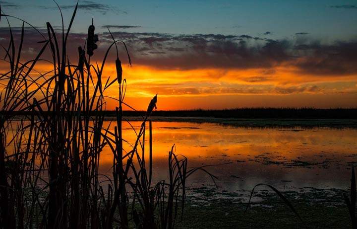 Nov. 23: This Your Saskatchewan photo was taken by Tara Magee in Saskatoon.