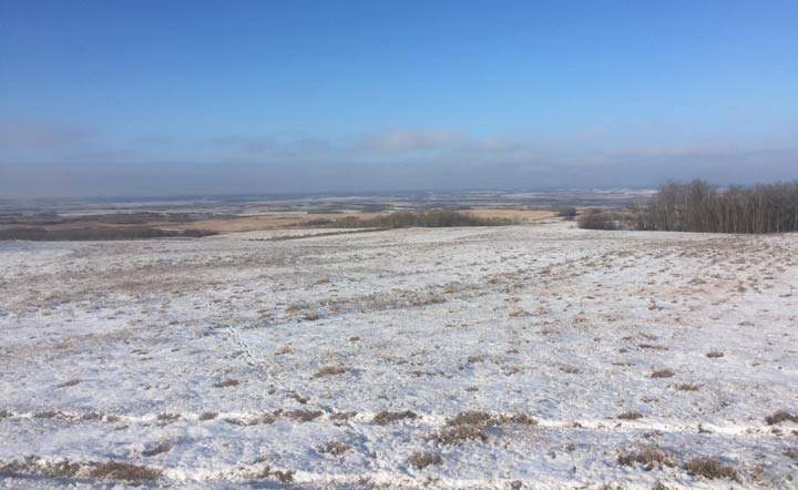 Nov. 26: This Your Saskatchewan photo was taken by Grant Pierce near Krydor.