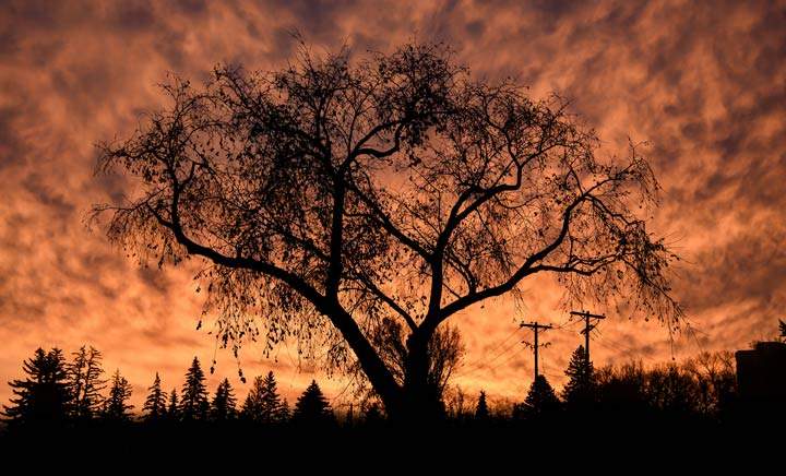 Nov. 12: This Your Saskatchewan photo was taken by Bruce Johnson in Saskatoon.