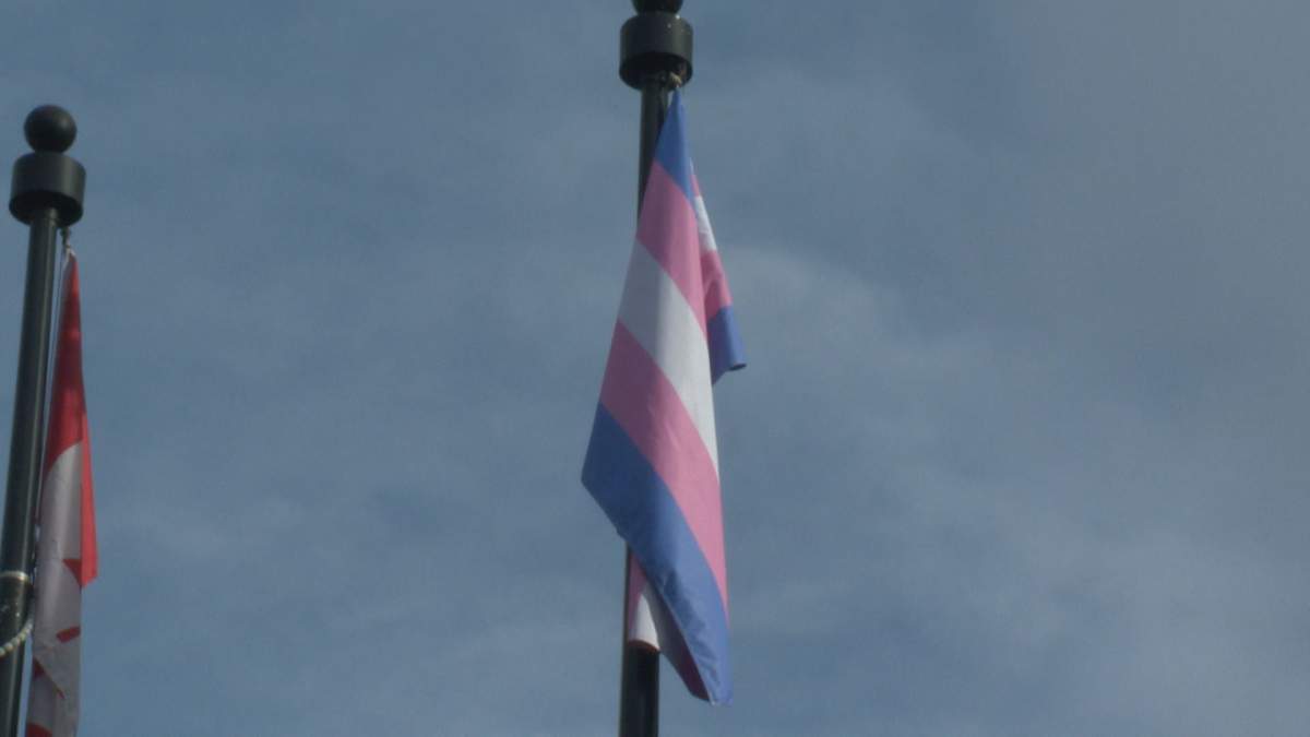 The trans flag was raised at provincial buildings around Alberta Sunday.