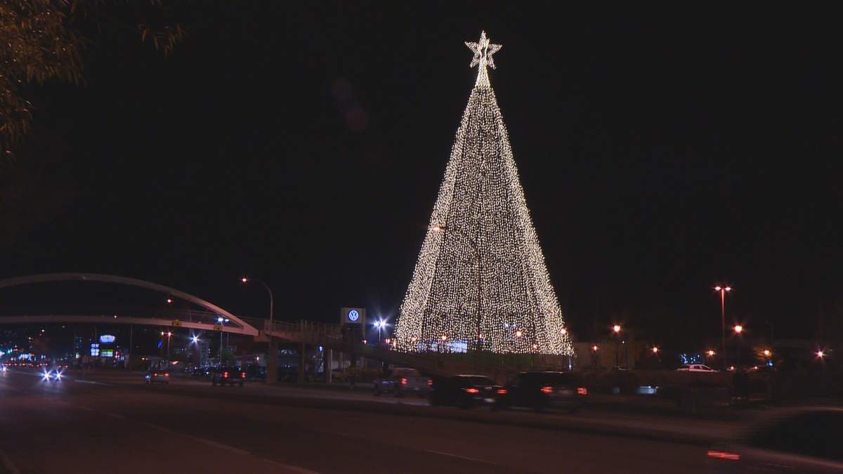 Kelowna’s Tree of Hope lights up for 19th year - image
