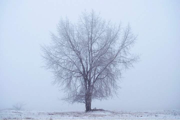 Dec. 15: This Your Saskatchewan photo was taken at Belle Plaine by Scott Aspinall.