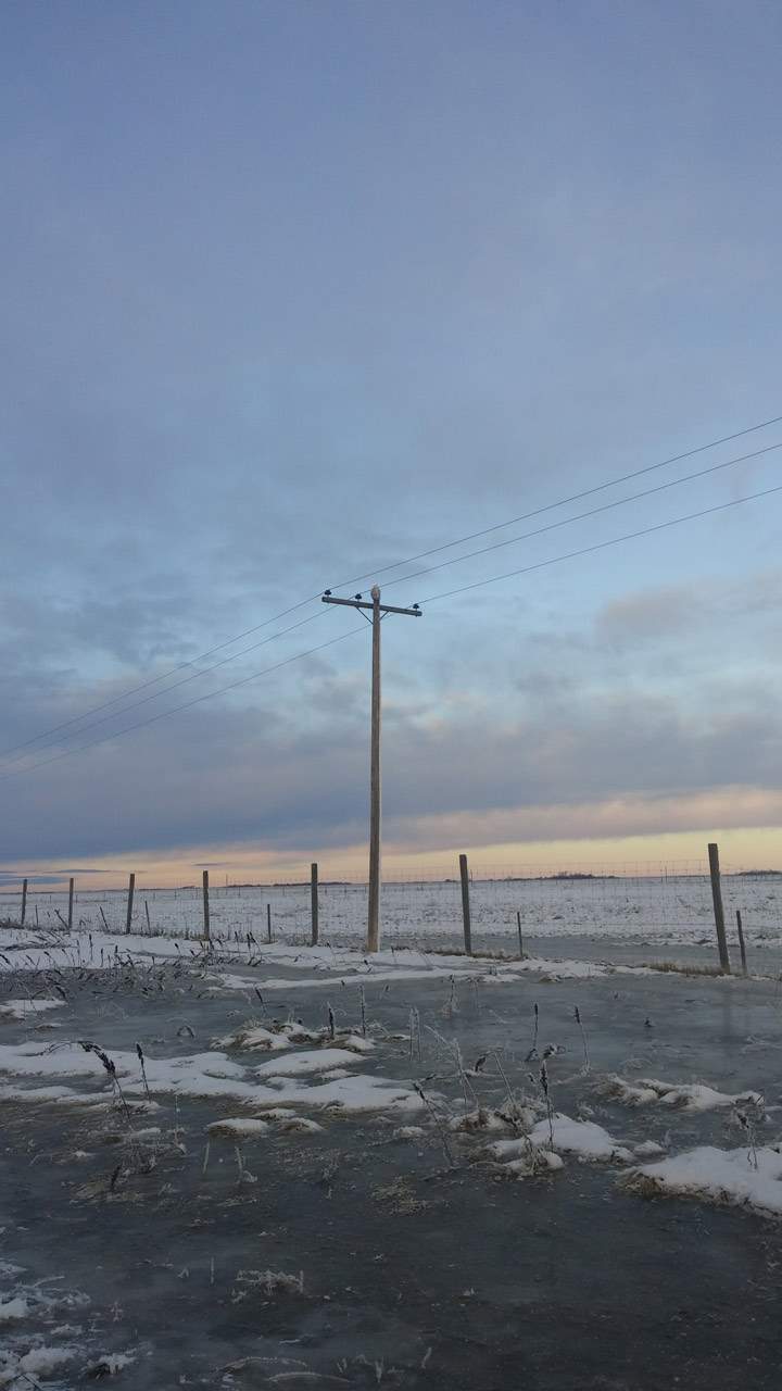 Dec. 20: Can you spot the snow owl in this Your Saskatchewan photo taken by Jenine Boser near Unity?