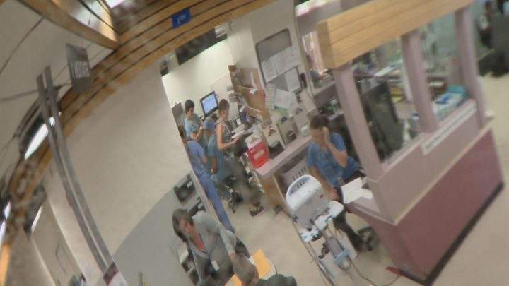 MD Ambulance paramedics recover after call volumes surge through the roof - image