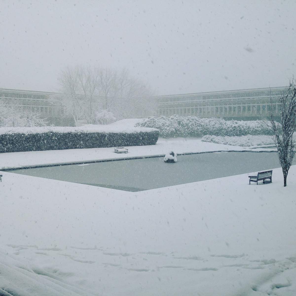 SFU on Burnaby Mountain. Photo: Aman Bassi