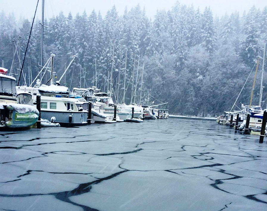 Snug Cove on Bowen Island covered in snow on Monday, Dec. 5, 2016.
