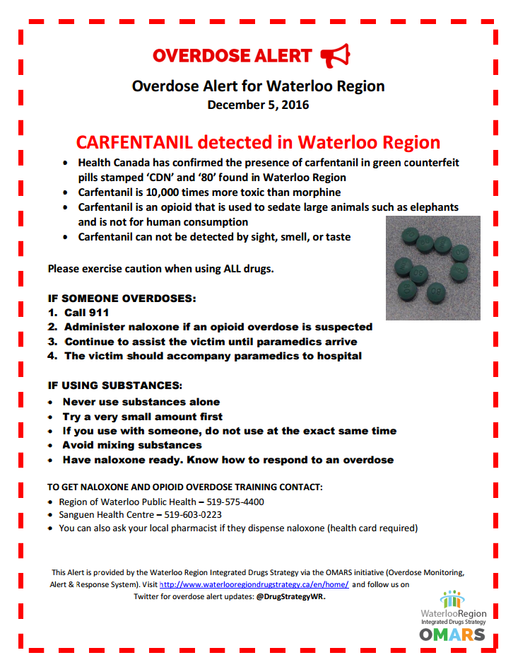 Ontario street drugs test positive for carfentanil for 1st time: Health Canada - image