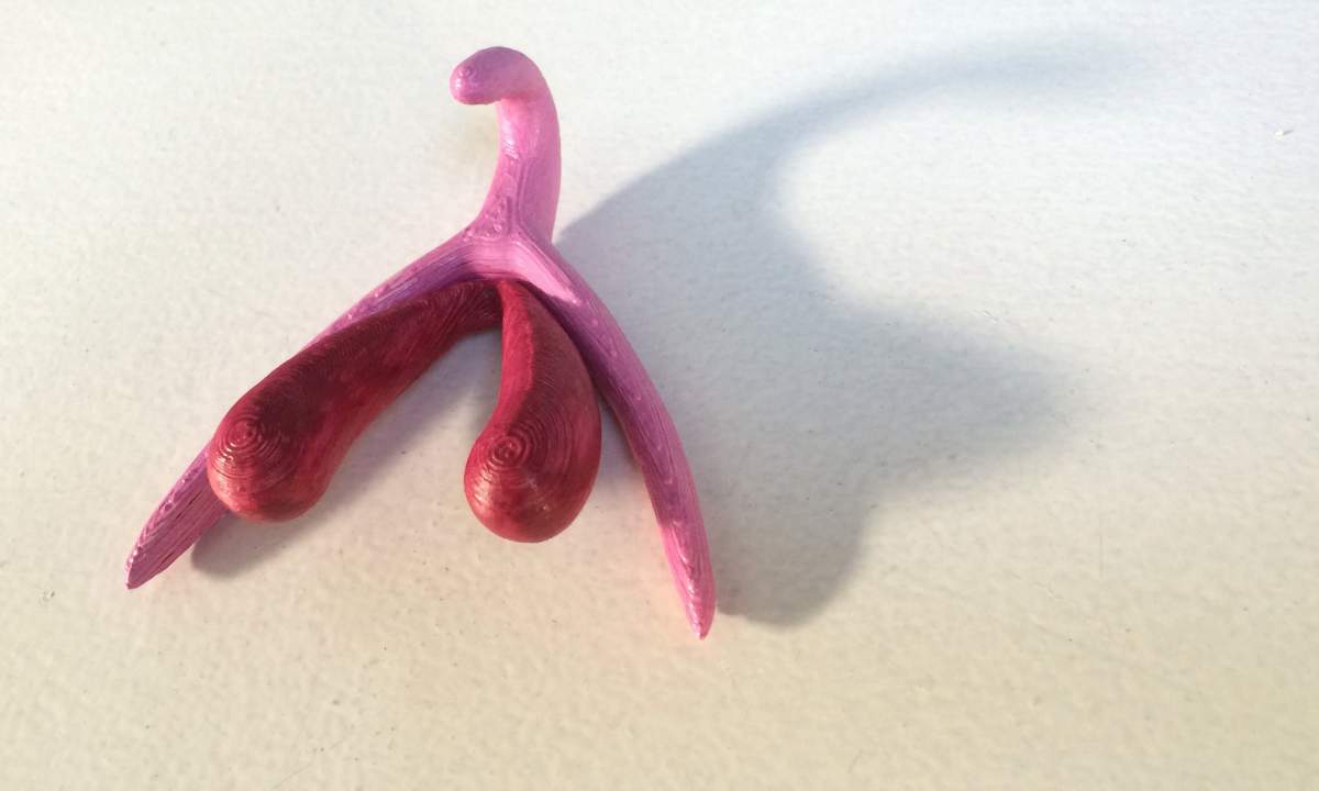 Did you know this is what a full anatomically-correct clitoris looks like?