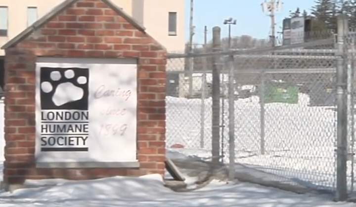 The London Humane Society is seen in this file photo.