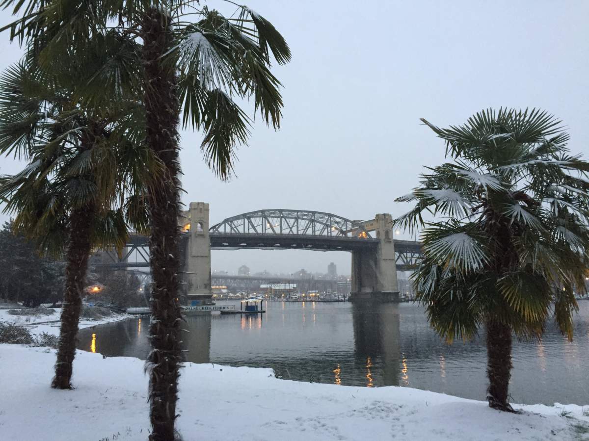 More snow will grace B.C. South Coast this weekend - image