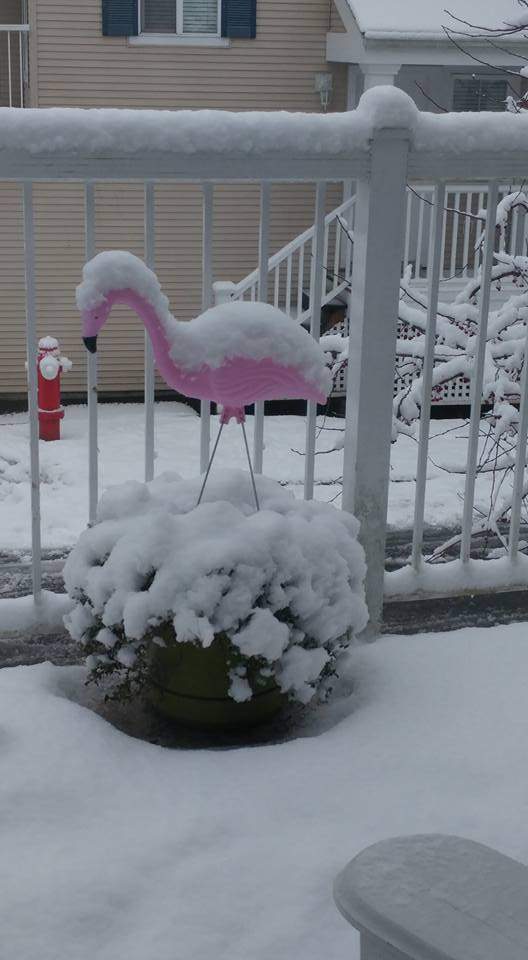 Langley. Credit: Erin Holliday Engstrom