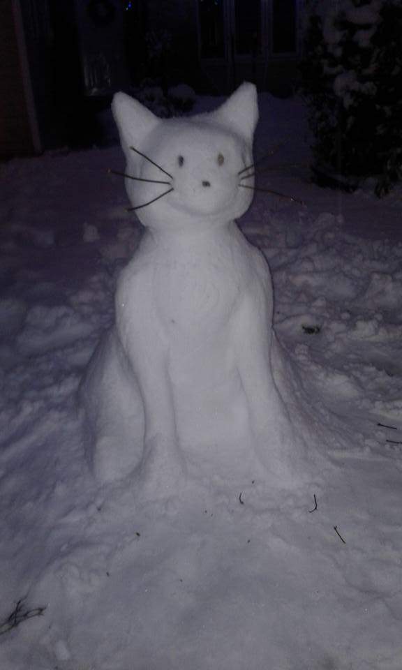 A purr-fect way to spend a snow day. Photo: Manor Mani