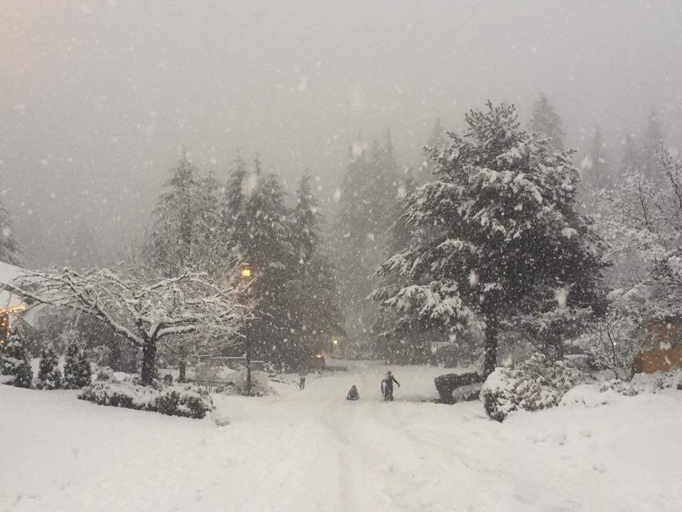 North Vancouver received 15 cm of snow by 5 p.m. on Mondau. Photo: Mehrnaz Barirani