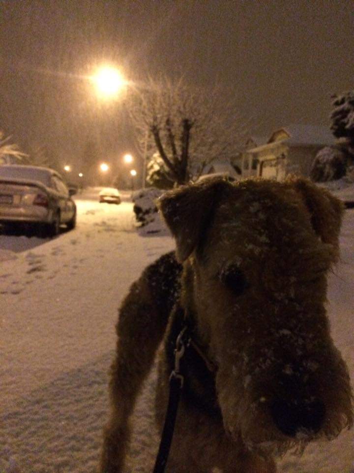 Nanaimo early Monday. Credit: Nicole Wood MacDonald