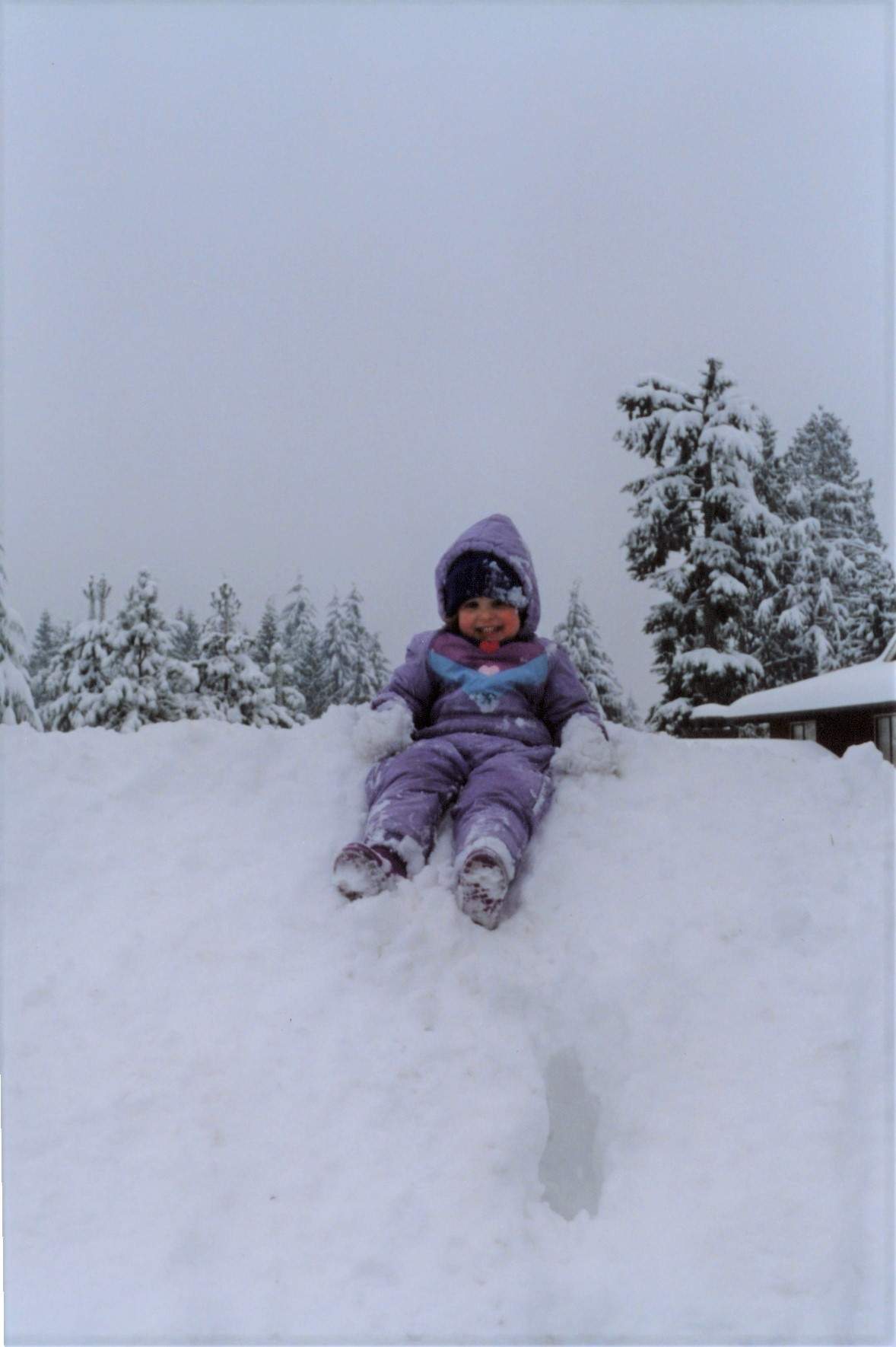 1996 snow storm north vancouver