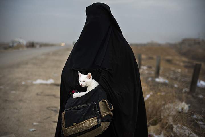 A displaced Iraqi woman holds her cat, Lulu, as she waits for transport in the Iraqi Kurdish checkpoint village of Shaqouli on Nov. 10, 2016.