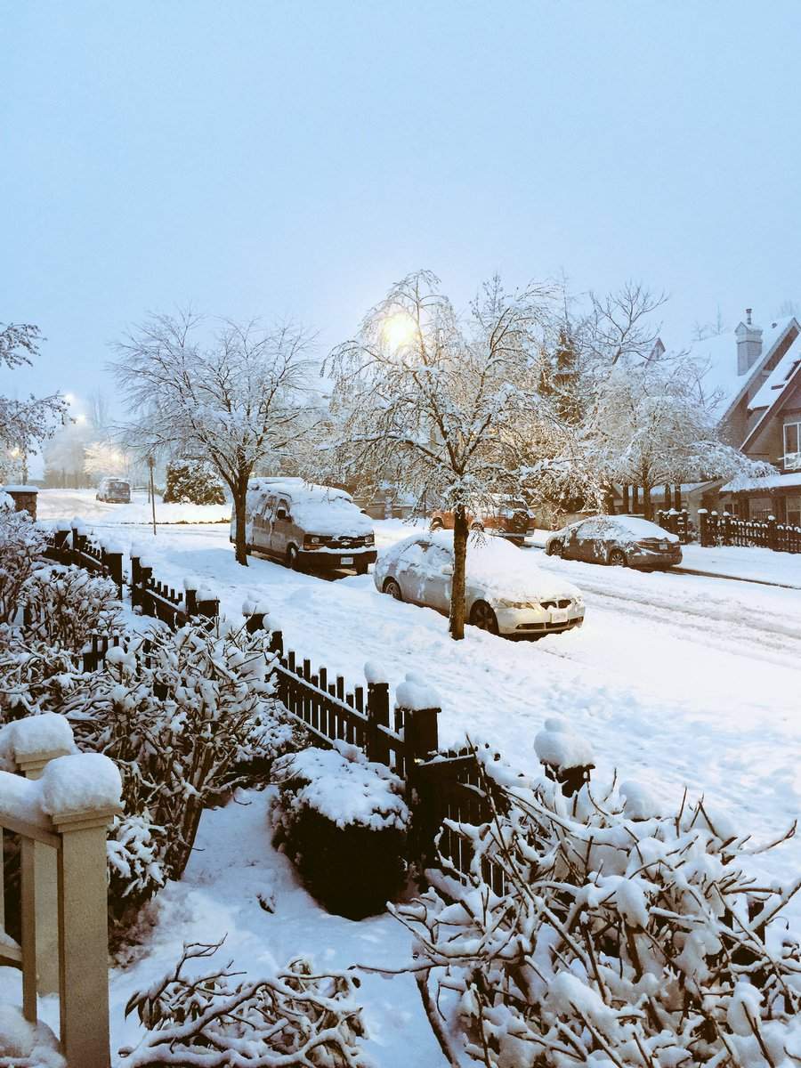 A winter wonderland in South Burnaby. Photo: Raymond San Pedro