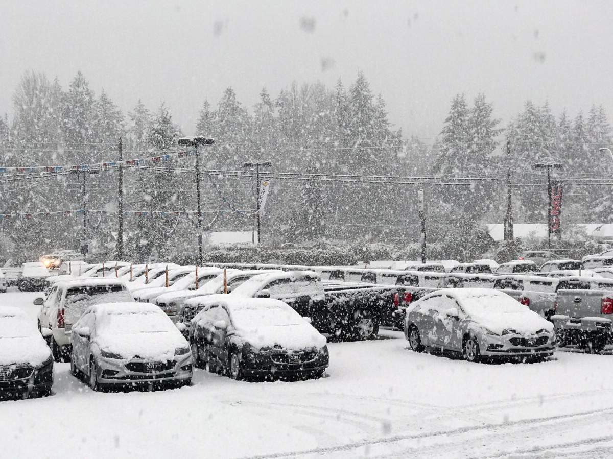 Parksville on Vancouver Island. Photo: Richard Beaton