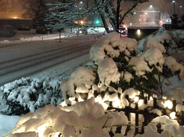Snow in Port Moody Monday.