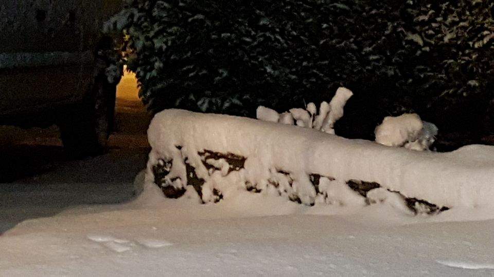 South Surrey Monday morning. Credit: Andrea Viznar‎