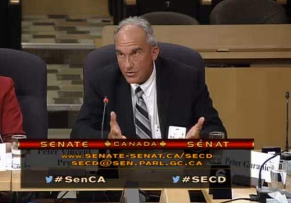 U.S. EMP expert Peter Pry testifies before a Canadian Senate committee in April 2016.