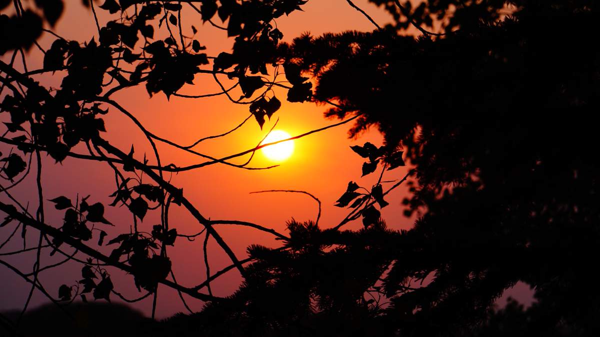 Regina records warmest November in 123 years - image