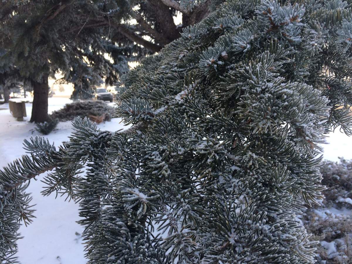Extreme cold weather in parts of Alberta, Jan. 3, 2017.