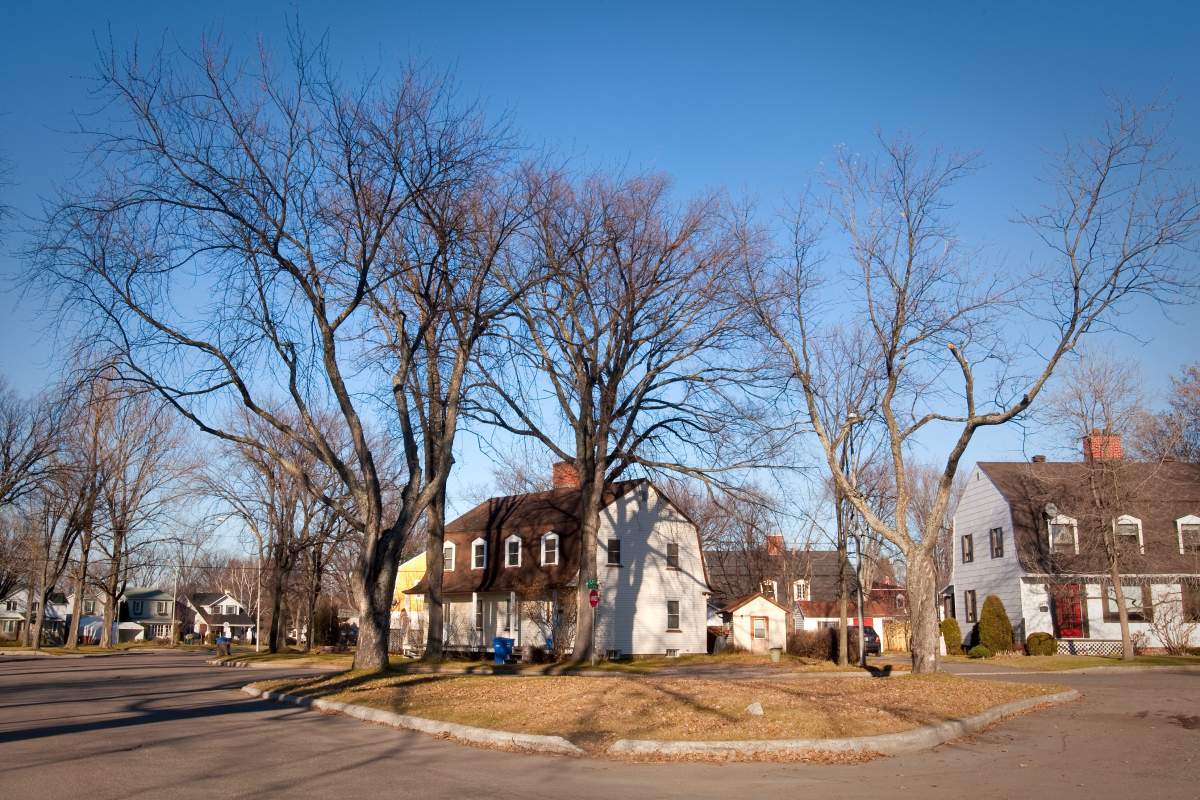 A residential area is pictured in the Arvida district of Saguenay, 225 kilometres northeast of Quebec City, on Nov. 10, 2010.