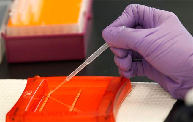 FILE - RCMP’s National Missing Persons DNA Program is now accepting biological samples and DNA profiles.