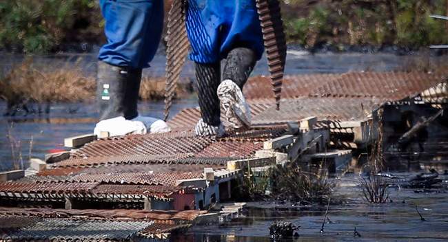 Human error, whether it's burying a pipeline too shallow or not fastening bolts tight enough, is increasingly a factor contributing to pipeline leaks, federal data suggests.