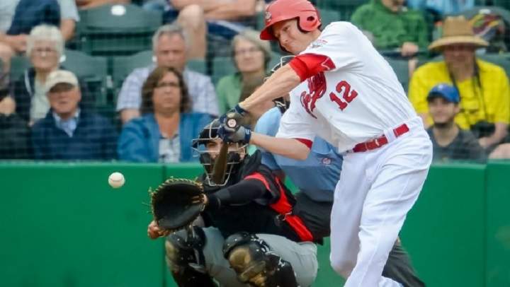 Winnipeg Goldeyes outfielder/first baseman David Rohm.